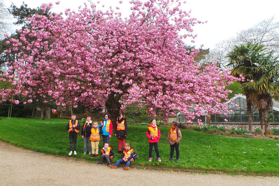 Jardin des plantes 6av17 03